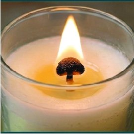 Carbon mushroom cap forming on a candle wick during combustion testing.